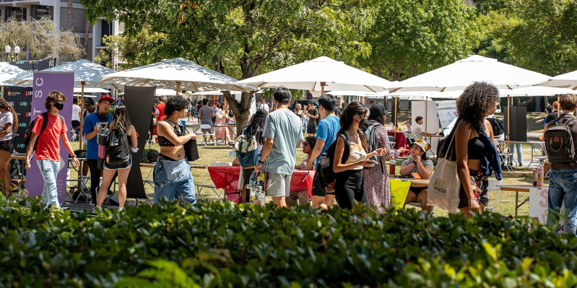 Litquake 2025: Bay Area’s Literary Festival Returns with Exciting New Events