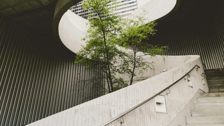 The Rise of Sustainable Building Practices in Commercial Real Estate