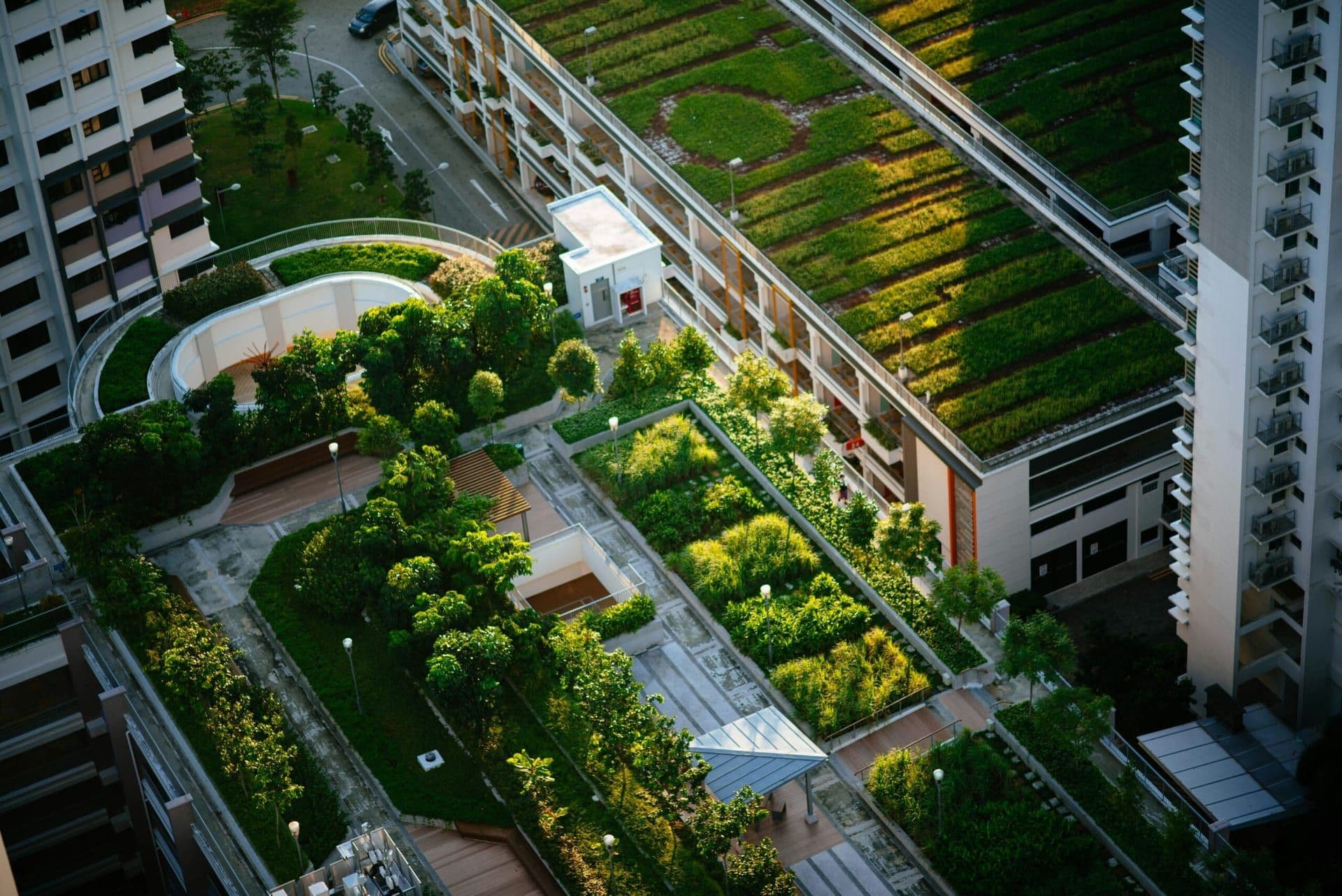 Green Building Practices Take Center Stage as Sustainability Becomes a Priority in Housing