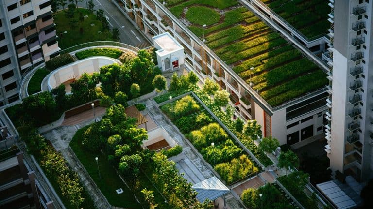 Green Building Practices Take Center Stage as Sustainability Becomes a Priority in Housing