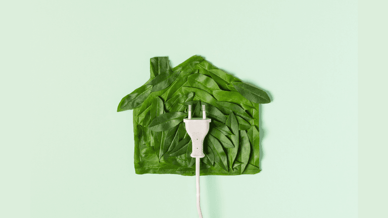 The Shift to Sustainable Housing – Green Homes Gain Ground in the Market