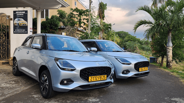 Two silver cars parked on a driveway with greenery in the background