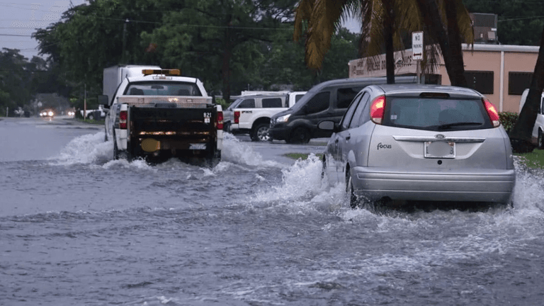 Flooded street with vehicles navigating through high water and palm trees nearby