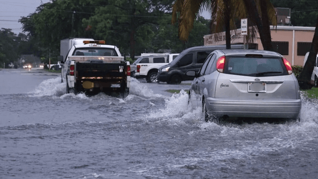 Flooded street with vehicles navigating through high water and palm trees nearby