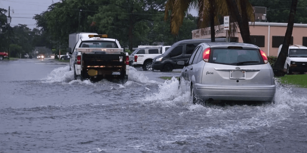 Flooded street with vehicles navigating through high water and palm trees nearby