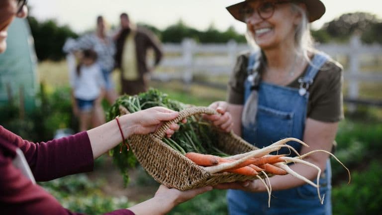 The Rise of Sustainable Communities as Buyers Seek Eco-Friendly Living