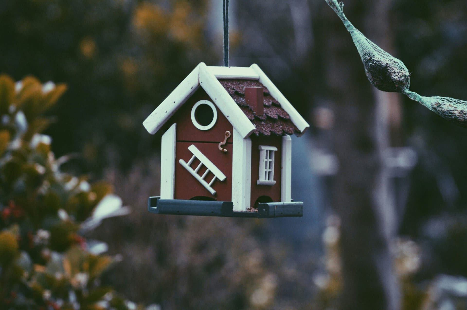 Opendoor Launches “Instant Home Value Estimator” Using Machine Learning