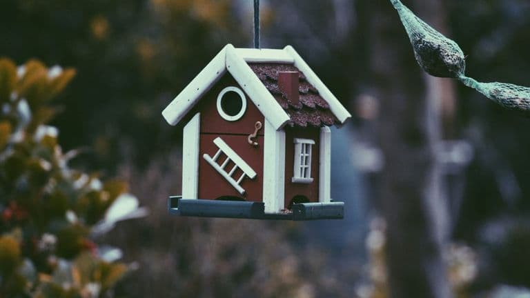 Opendoor Launches “Instant Home Value Estimator” Using Machine Learning