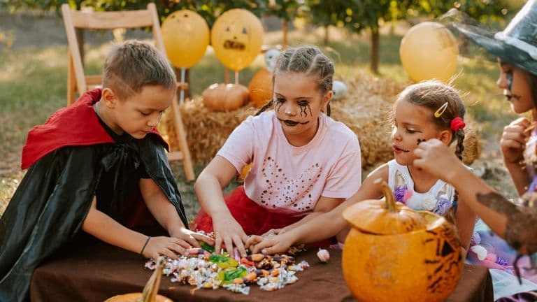 Mecosta County Hosts Community Events Amidst Fall Festivities