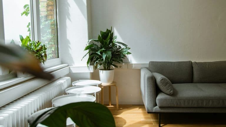 Cities Implement Stricter Regulations on Short-Term Rentals to Address Housing Affordability