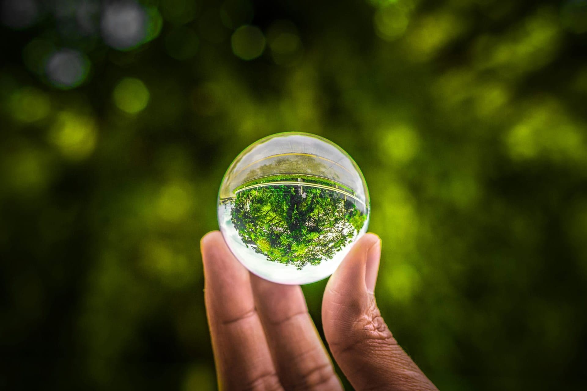 The Future of Commercial Leasing: Sustainability at the Forefront
