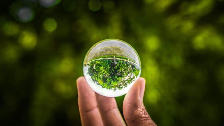 The Future of Commercial Leasing: Sustainability at the Forefront