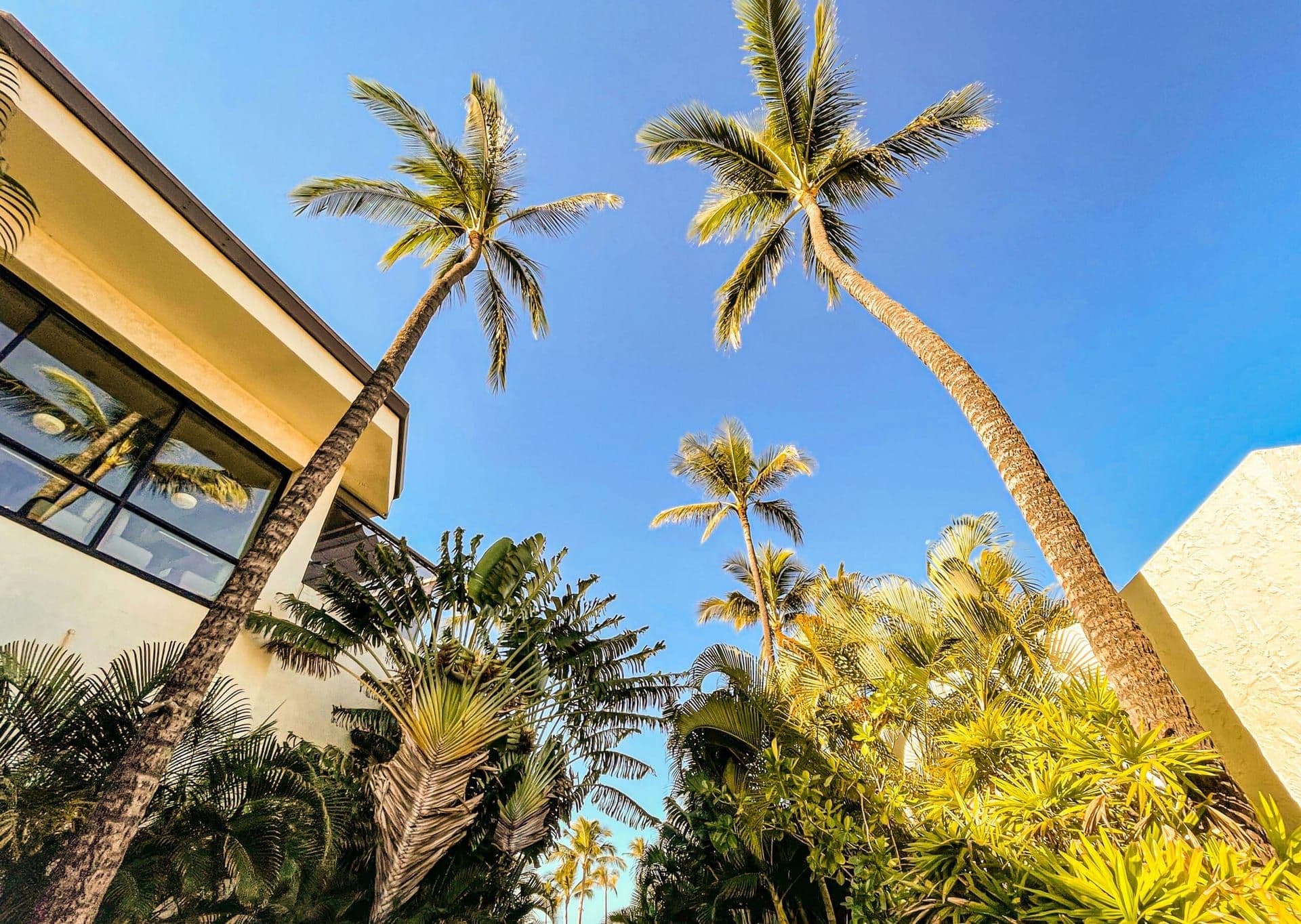 Boom in Second-Home Purchases as Remote Work Drives Demand for Vacation Properties