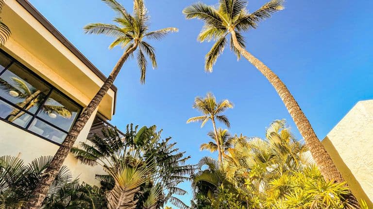Boom in Second-Home Purchases as Remote Work Drives Demand for Vacation Properties
