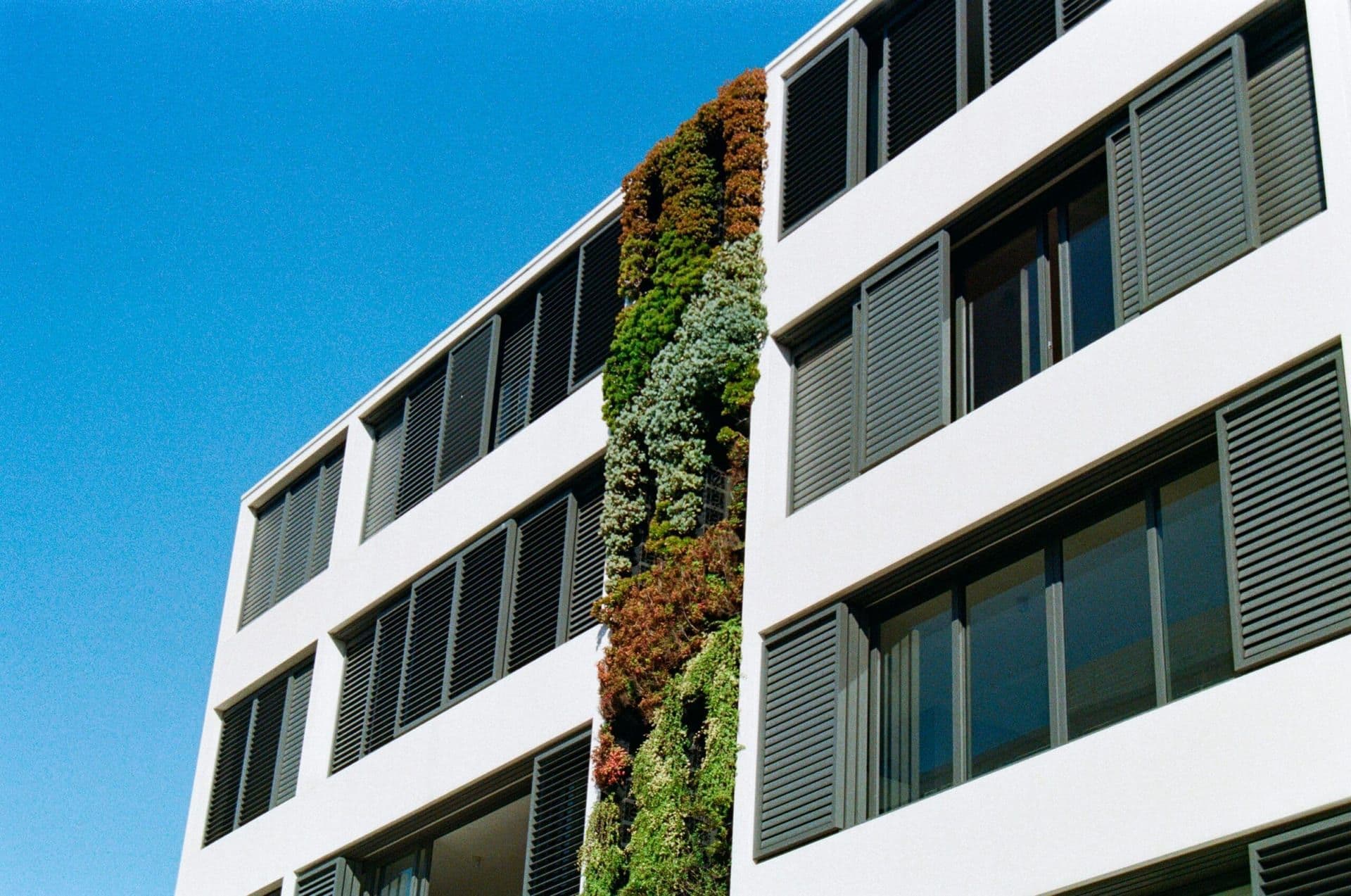 The Rise of Green Leases: Aligning Sustainability with Commercial Leasing
