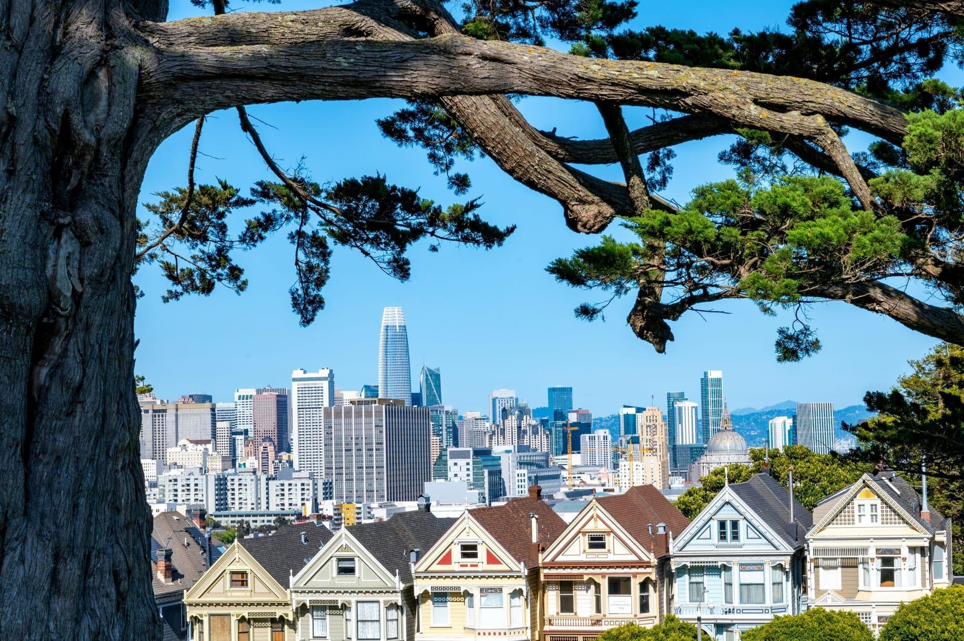 An Insight into the Commercial Property Trends in Silicon Valley