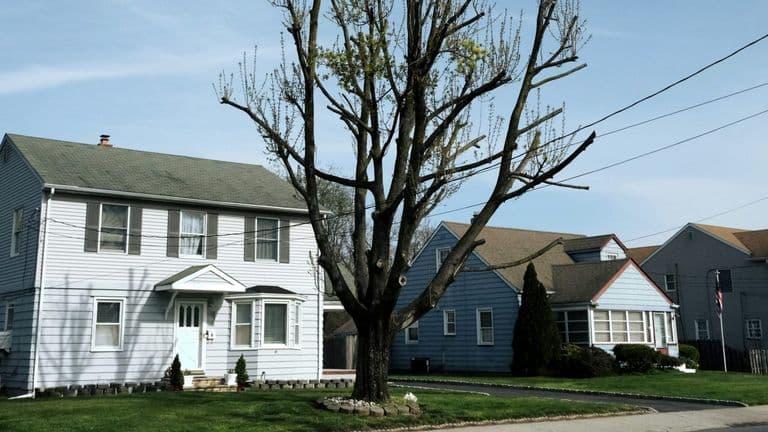U.S. Mortgage and Housing Data Send Mixed Signals to Buyers as 2025 Draws to a Close