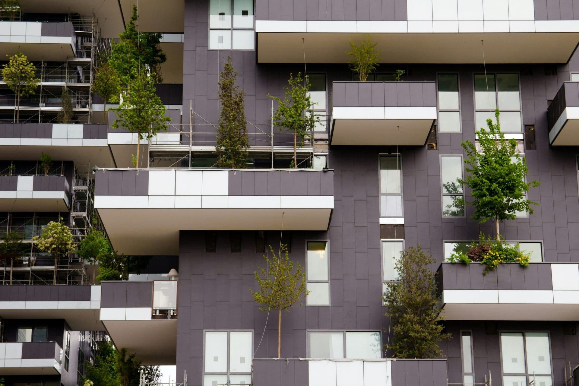 The Growth of Green Rentals: Shaping the Future of Sustainable Housing