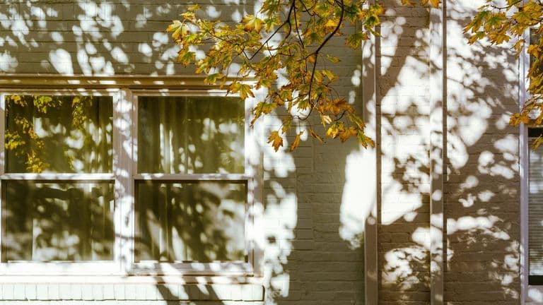 Princeton, Texas Emerges as the Fastest-Growing Town in the U.S.